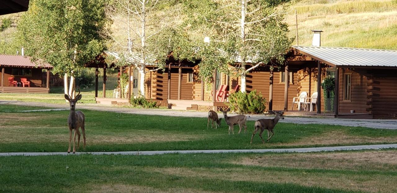 High Country Lodge And Cabins Pagosa Springs Eksteriør bilde